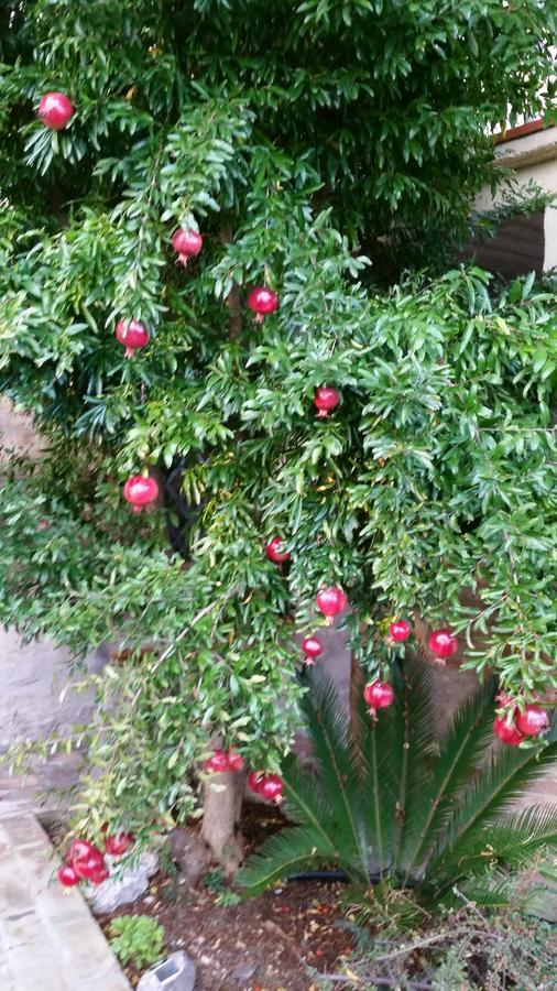 La Maison Jujube Morrovalle Dış mekan fotoğraf