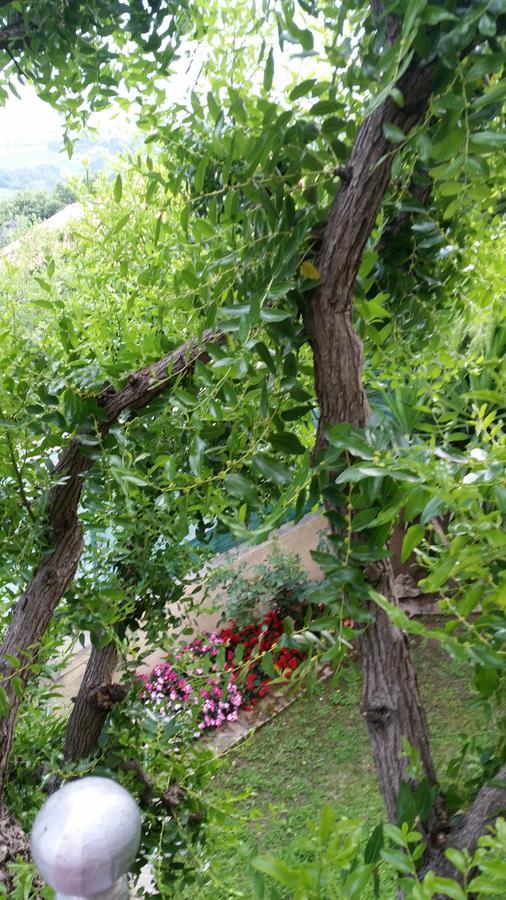 La Maison Jujube Morrovalle Dış mekan fotoğraf